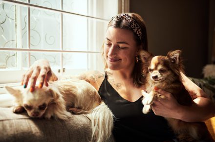 animales_comunidad_blog